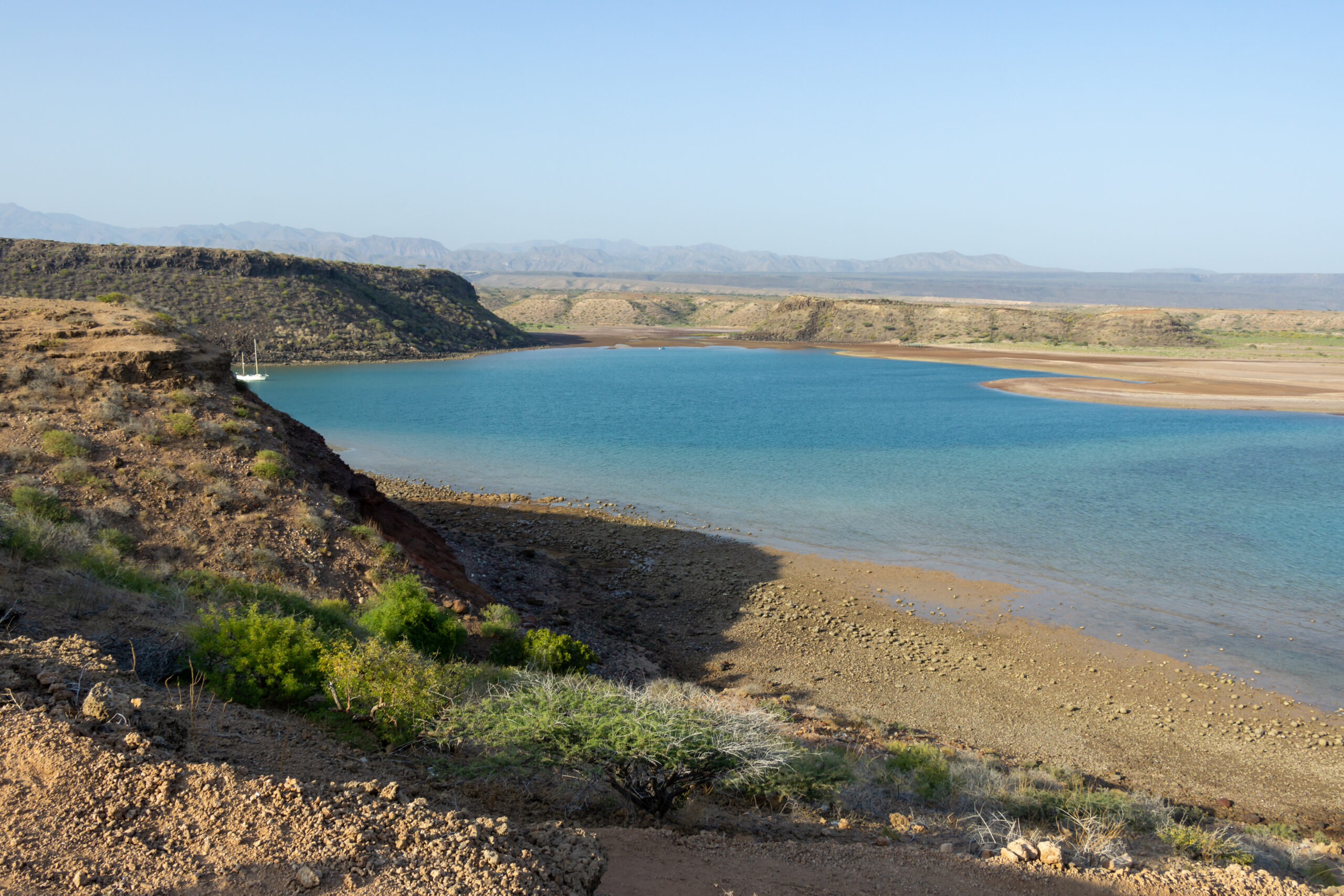 Tales of the Djibouti By Camille Massida